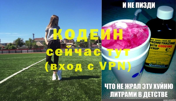 СК Струнино