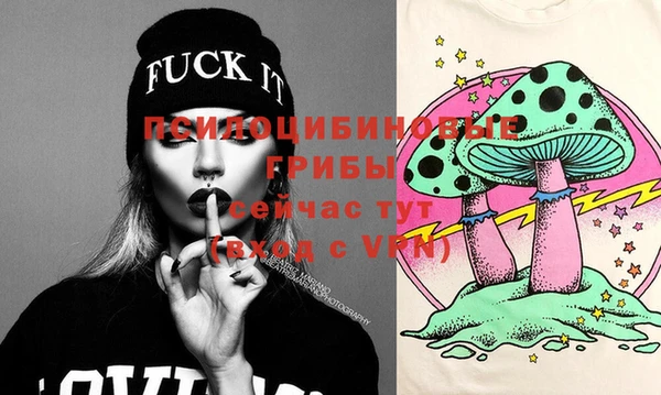 дурь Строитель