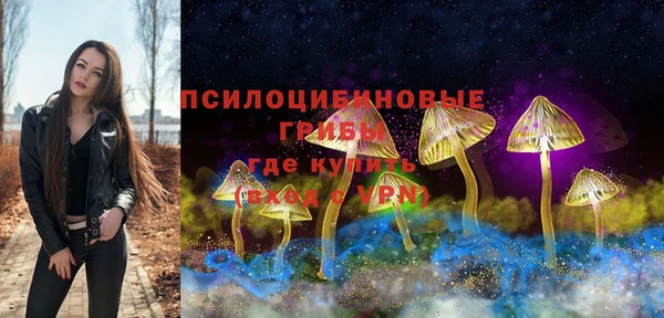 дурь Строитель