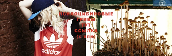 дурь Строитель