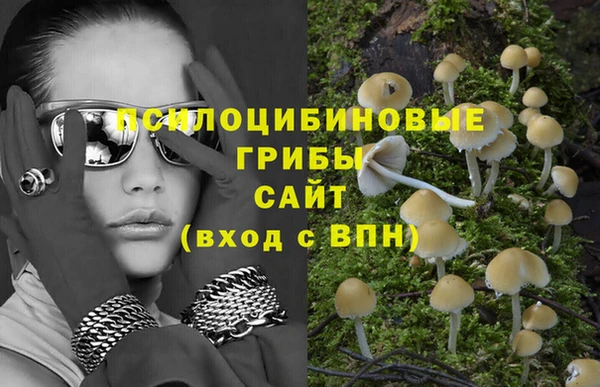 СК Струнино